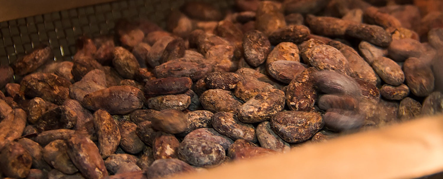 Roasting cacao beans.