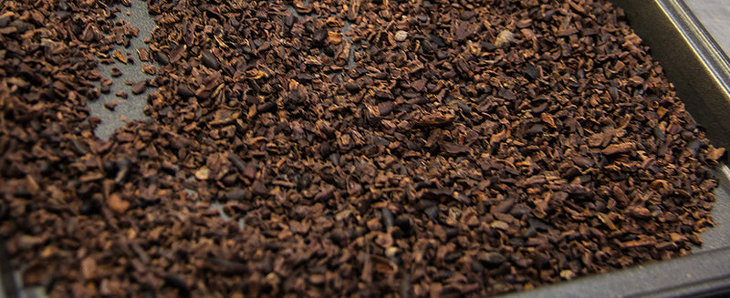 Sorting cracked cacao beans by size.